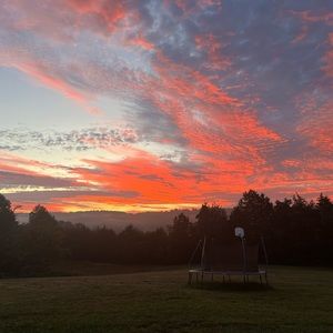 Meet your Posher, Natalia